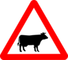 Cattle Crossing Warning Clip Art